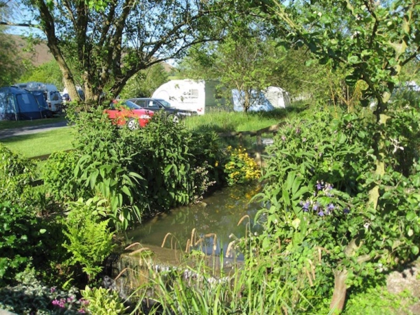 Fforest Fields Caravan & Camping Park 14286