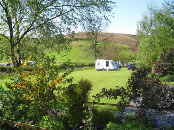 Fforest Fields Caravan & Camping Park 14288