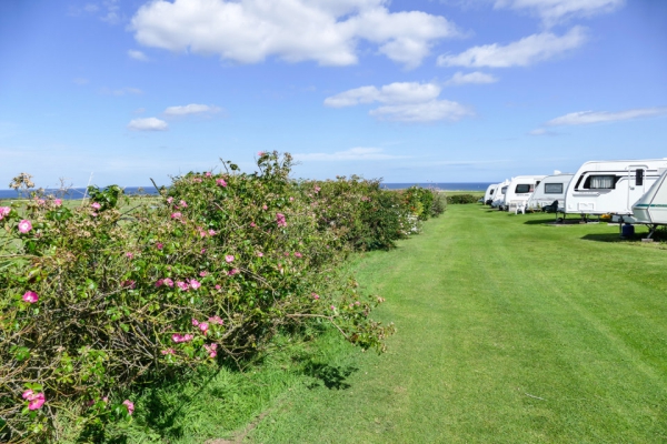 Sandfield House Farm Caravan Park 14304