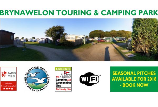 Brynawelon Touring & Camping Park 14314