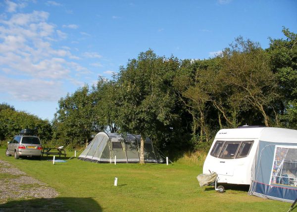 Brynawelon Touring & Camping Park 14315