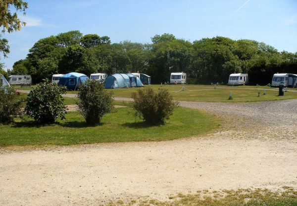 Brynawelon Touring & Camping Park 14316