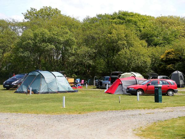 Brynawelon Touring & Camping Park 14317