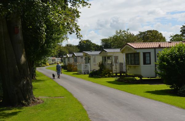 Moss Wood Caravan Park 14389