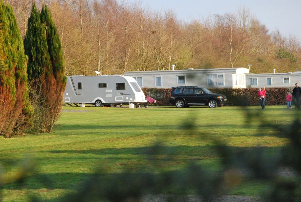 Moss Wood Caravan Park 14391