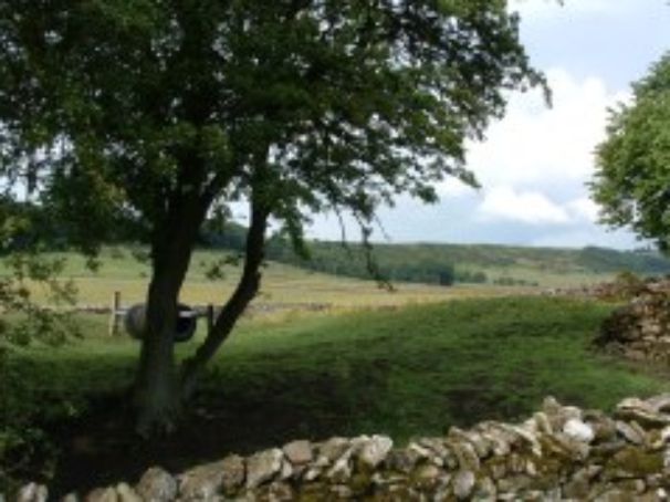 Derbyshire Hills Campsite 14429