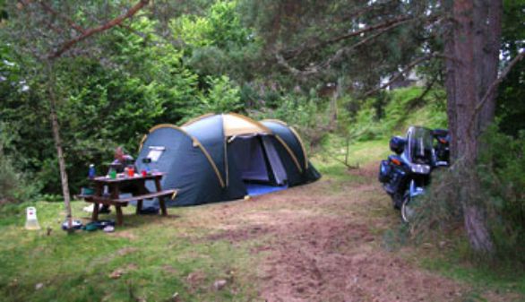 Cannich Caravan and Camping Park 14476