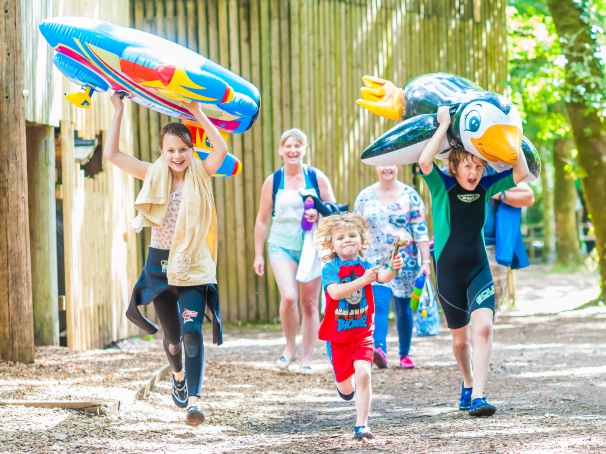 River Dart Country Park 14567