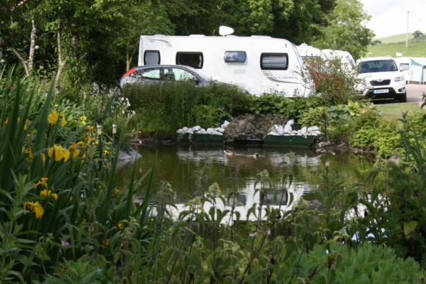 Waters Edge Caravan Park 14571