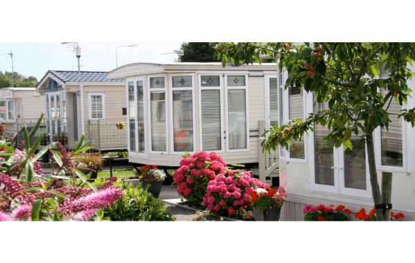 Silver Birch Caravan Park 14589