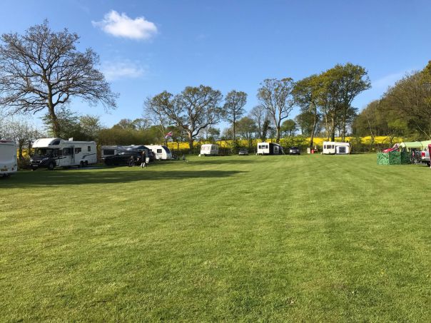 Broadhembury Caravan and Camping Park 14610