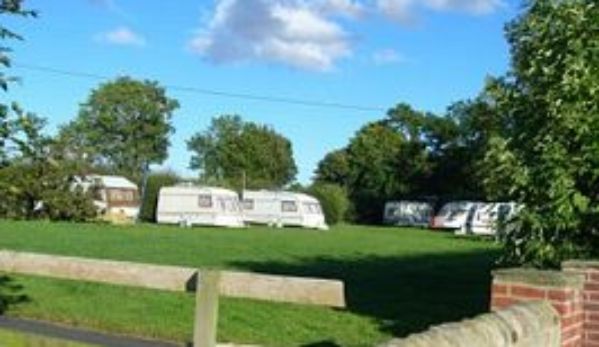 Bilton Park Village Farm Campsite 14692