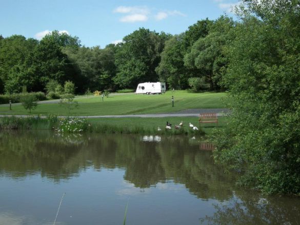 Cwmcuttan Caravan Site 14718