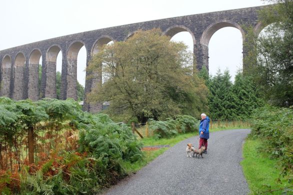 Cwmcuttan Caravan Site 14723