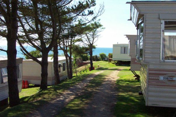 Eype House Caravan & Camping Park 14790