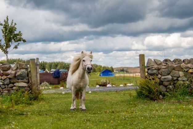 Balloch O'Dee Campsite and Trekking Centre 14821