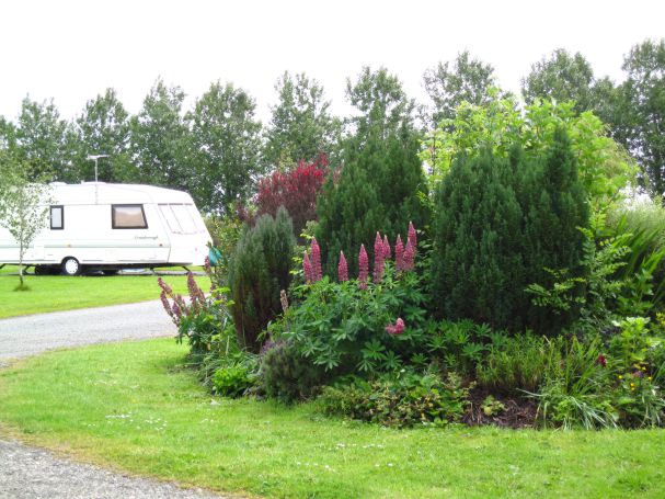 Jolly Common Caravan Park 14860