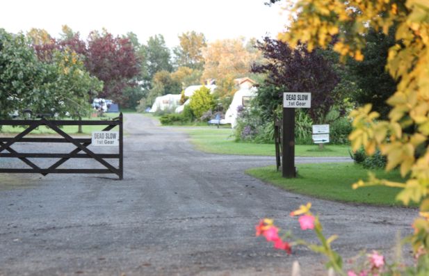 Jolly Common Caravan Park 14861