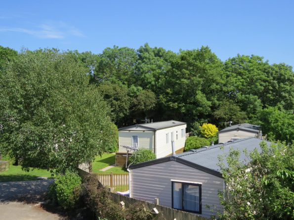 Little Dinham Woodland Caravan Park 14894