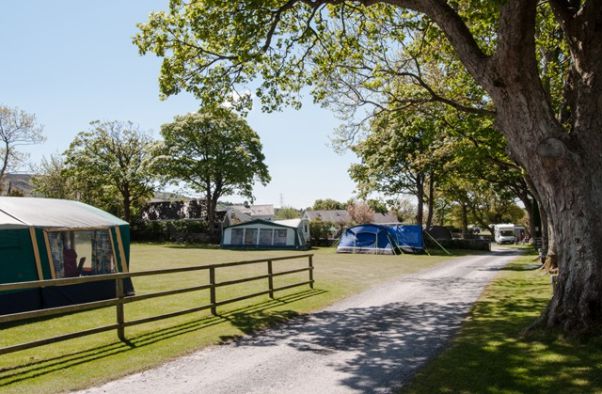 Llys Derwen Caravan & Camping Site 15028