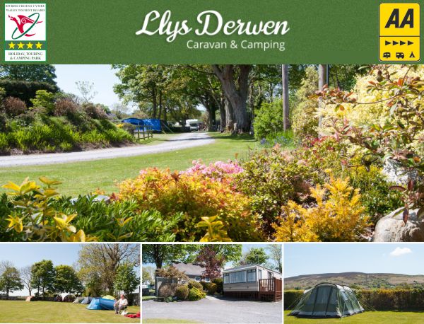 Llys Derwen Caravan & Camping Site 15032