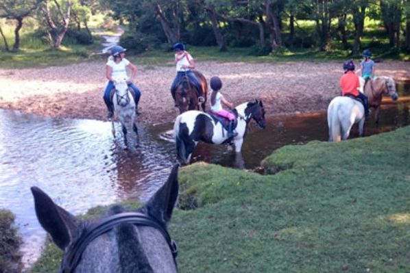 Rushcroft Farm Camping Park 15049