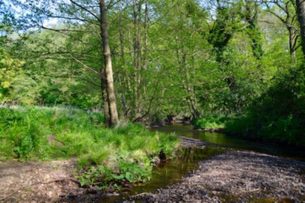 Rushcroft Farm Camping Park 15050