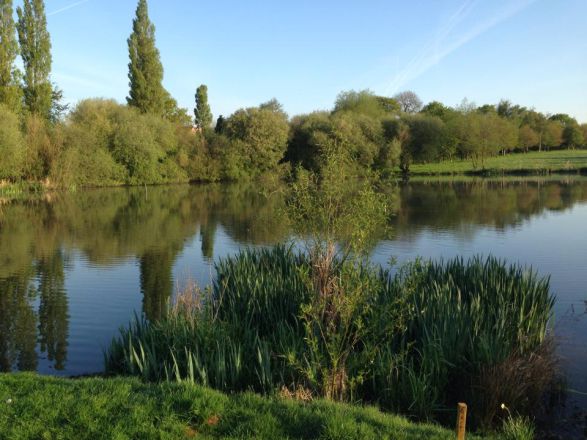 Pickmere Lake Caravan Park 15107