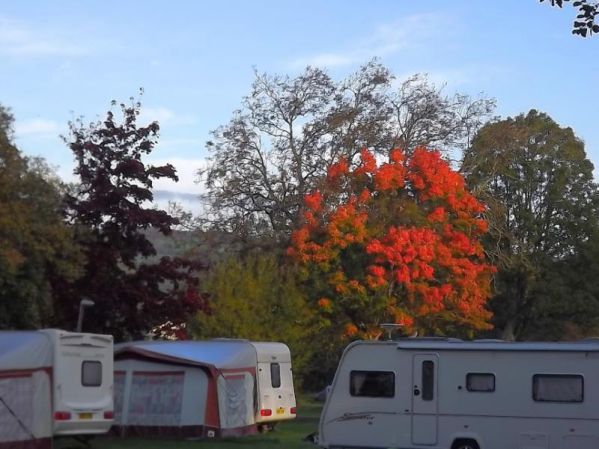 Riverbend Caravan Park 15181