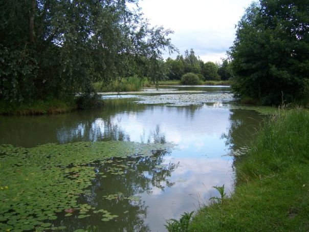 Thorney Lakes & Caravan Park 15422