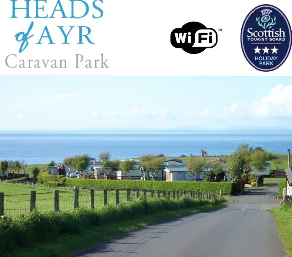 Heads of Ayr Caravan Park 15464