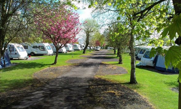 Wombleton Caravan and Camping Park 15566