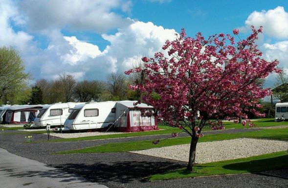 Wombleton Caravan and Camping Park 15568