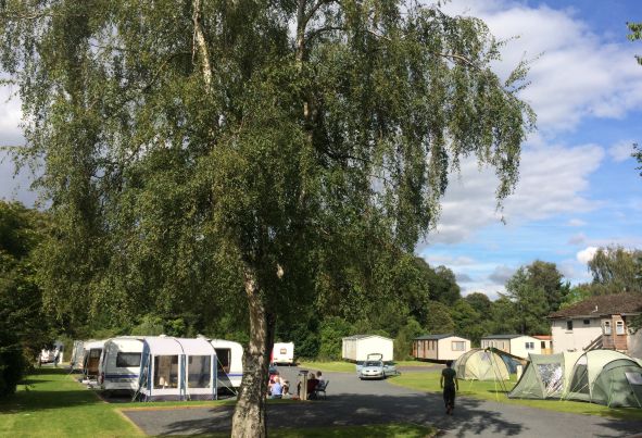 Riverside Caravan Park 15601