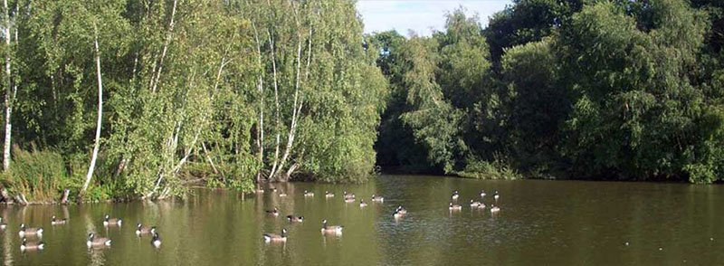 Blackwood Hall Caravan Park 15878