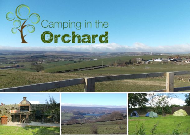Orchard Camping