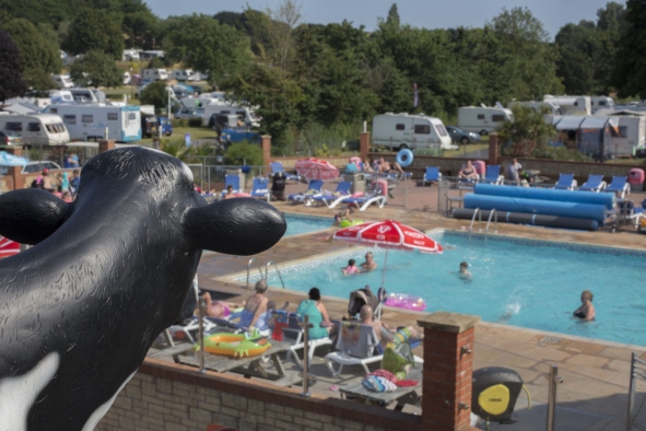Lady's Mile Holiday Park 15940