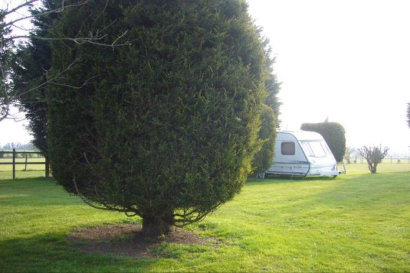 Clock House Farm Caravan & Camping Park 15967