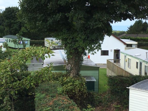 Brynarian Caravan Park 16071