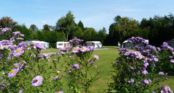 Eden Valley Holiday Park 16081