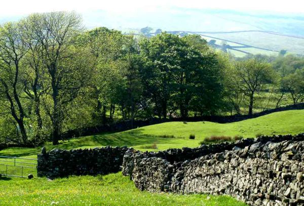 Shaw Ghyll Caravan Park 16127