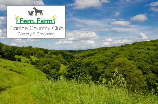 Fern Farm 1622