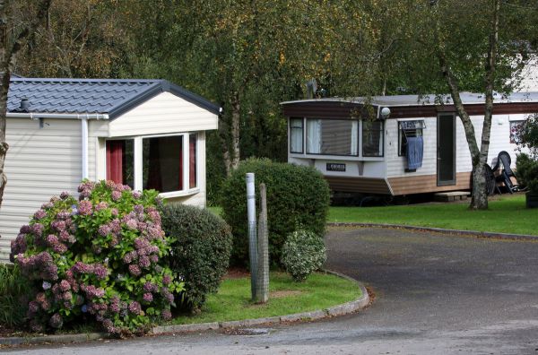 Hedley Wood Caravan & Camping Park 16237