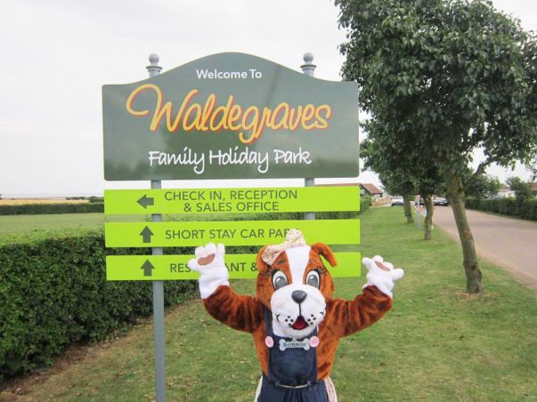 Waldegraves Holiday Park 16276