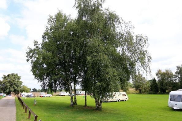 Holly Bank Caravan Park 16291