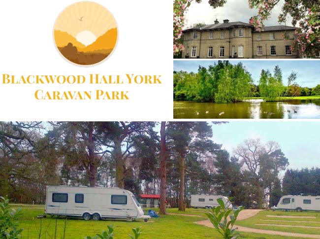 Blackwood Hall Caravan Park 16461