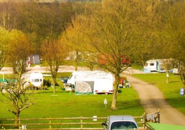 Eden Tree Caravan Park 16500