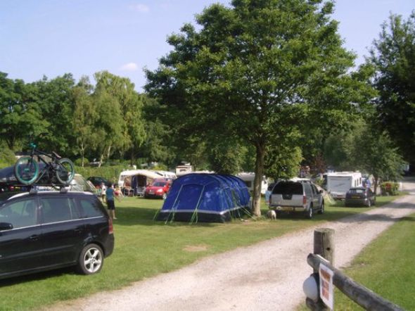 Eden Tree Caravan Park 16501