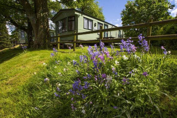 Castlerigg Hall Caravan and Camping Park 16574