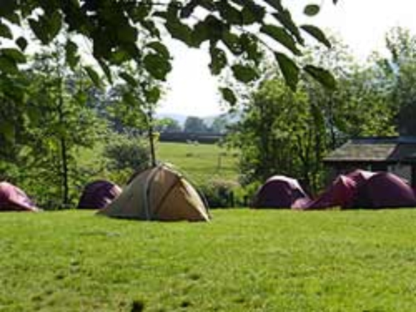 Fieldhead Campsite 16586